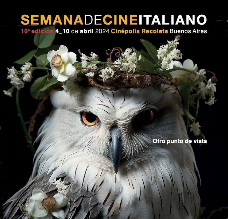 foto SITIO WEB CINEMA